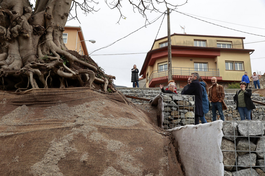 ¿Higuera sí o higuera no? Las dudas vecinales sobre el proyecto de Trabanca Sardiñeira