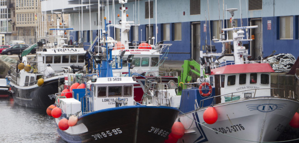 Abre la pesquería de caballa para flota de artes distintas al arrastre y cerco en A Coruña