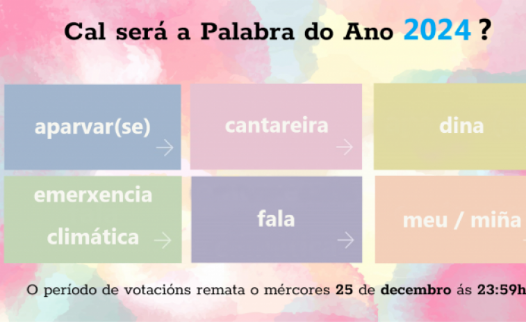 “Aparvar(se)”, “cantareira”, “dina”, “emerxencia climática”, “fala” e “meu”, finalistas na elección da Palabra do Ano 2024