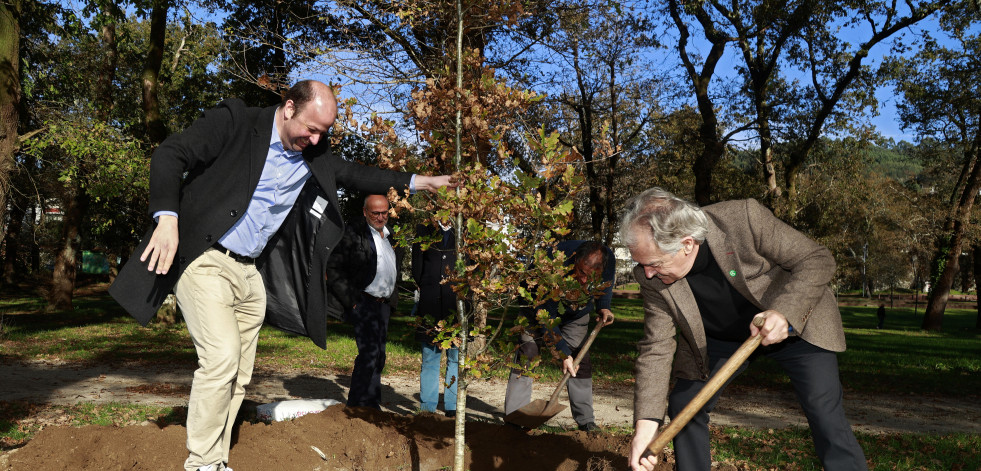 Caldas simboliza la recuperación de la Carballeira y el Xardín con la plantación de tres carballos