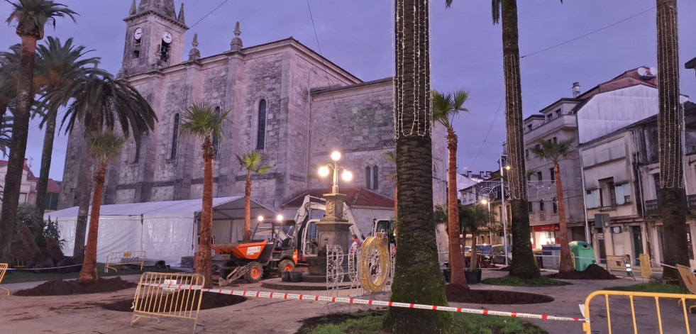 La plantación de catorce especies de palmeras recupera el esplendor de Santo Tomás