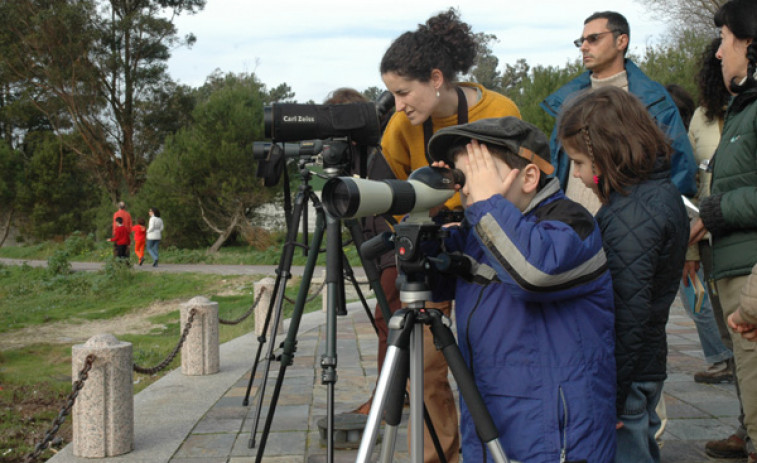 Colectivo Ecoloxista do Salnés organiza una salida para la observación de aves en O Grove
