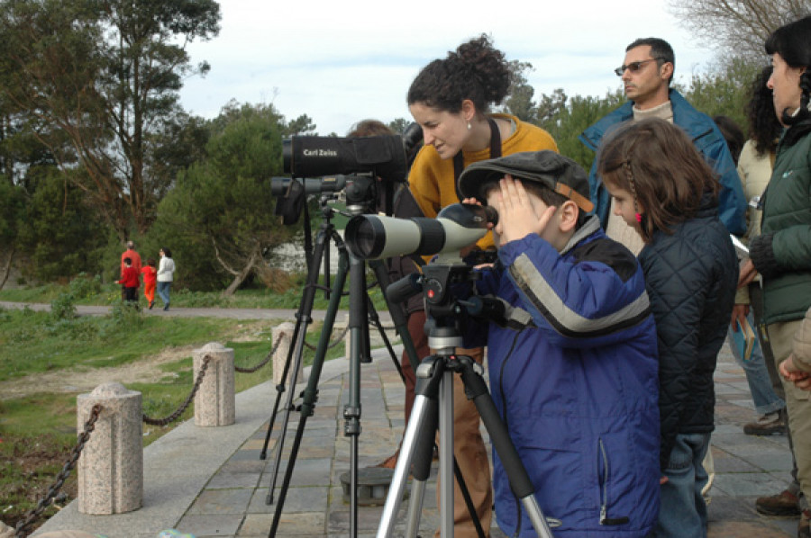 Colectivo Ecoloxista do Salnés organiza una salida para la observación de aves en O Grove