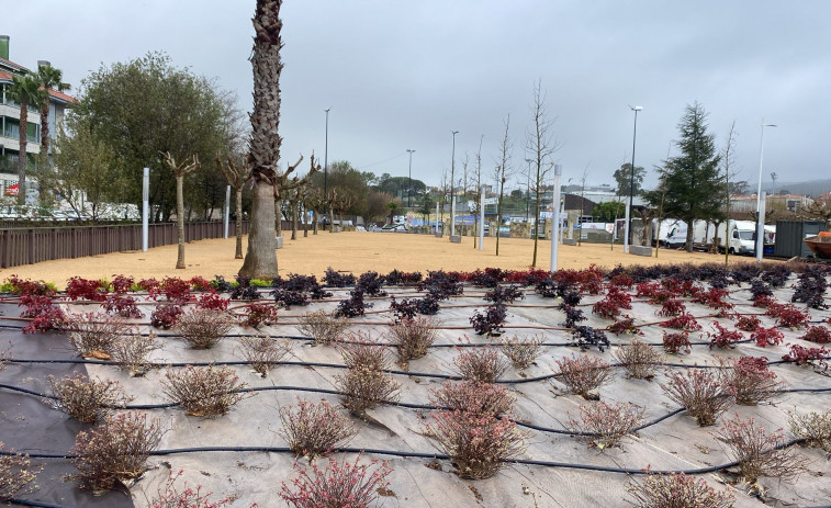 Los jardines de Baltar mejoran su estética con nuevos árboles, bancos y una mejor iluminación
