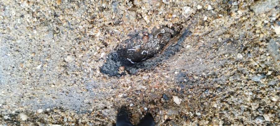 Sospechan que la gran mancha enterrada en la playa procede del terreno regenerado de La Onza de Oro y originó el vertido en A Ribeiriña