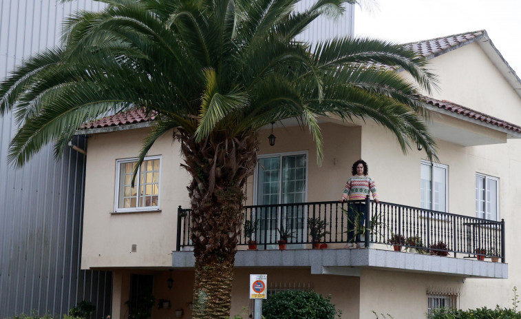 Una superviviente en Caldas: “Me daría mucha pena si mi palmera enferma, es un recuerdo familiar de 30 años”