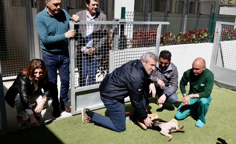Elevan a más de un millón de euros el presupuesto del CAAN para mejorar la esterilización de gatos