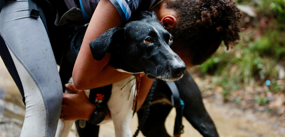 Búscate en la I Mushing de Cea