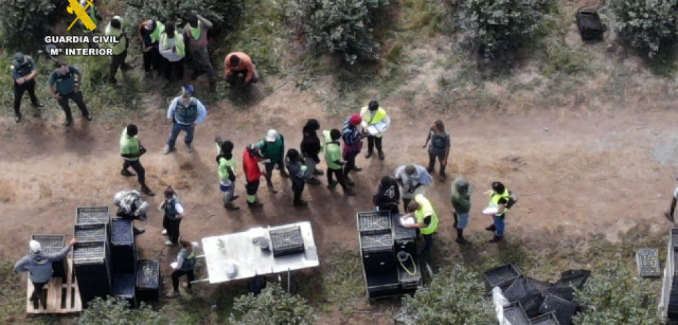 Investigadas tres personas por la contratación de temporeros en situación irregular en una explotación agrícola de Lugo