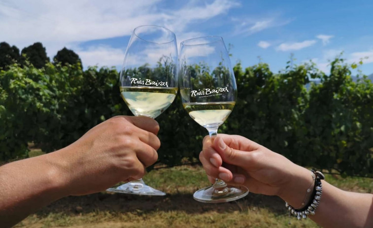 La DO Rías Baixas obtiene una treintena de galardones en el concurso VinEspaña 2025