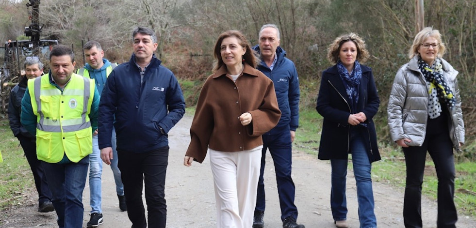 Siete mil árboles y dos millones de euros para frenar las inundaciones en Cuntis