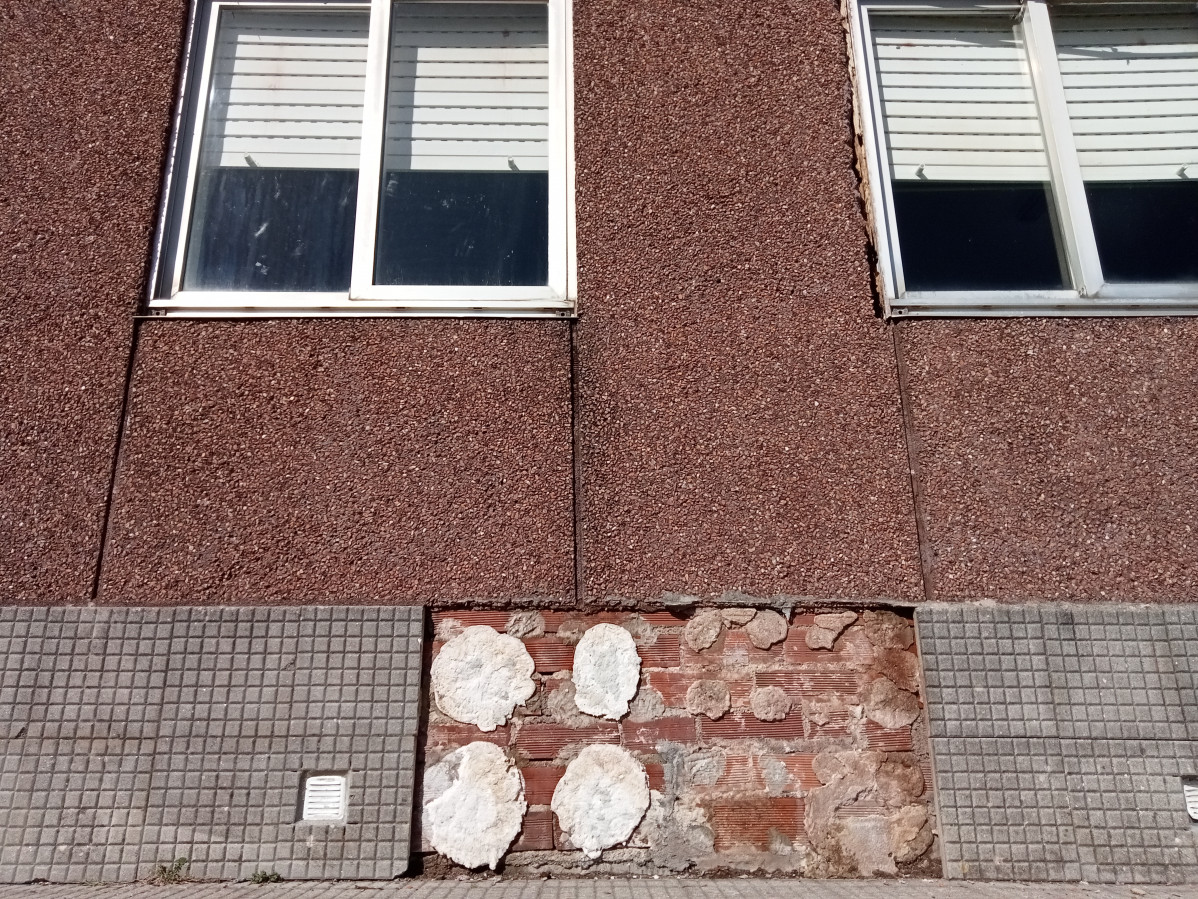 IMG20250226145633