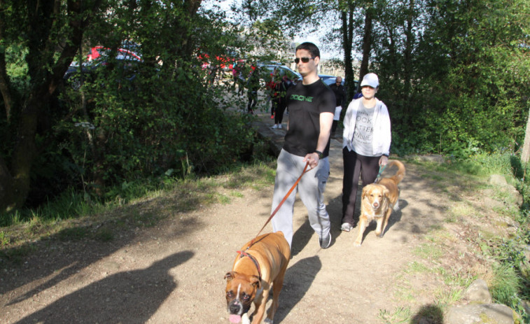La Variante Espiritual se abre al turismo petfriendly con el 