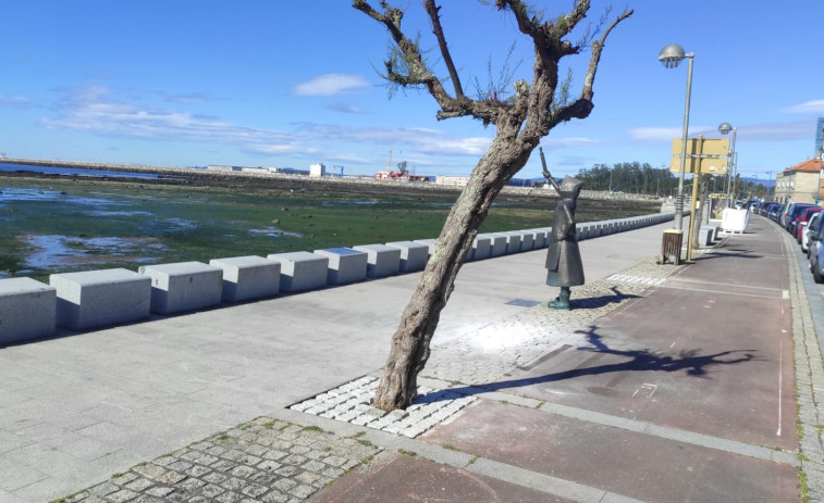 Cambados opta por cubrir con adoquín los maceteros de Ribeira de Fefiñáns y Rúa Pombal