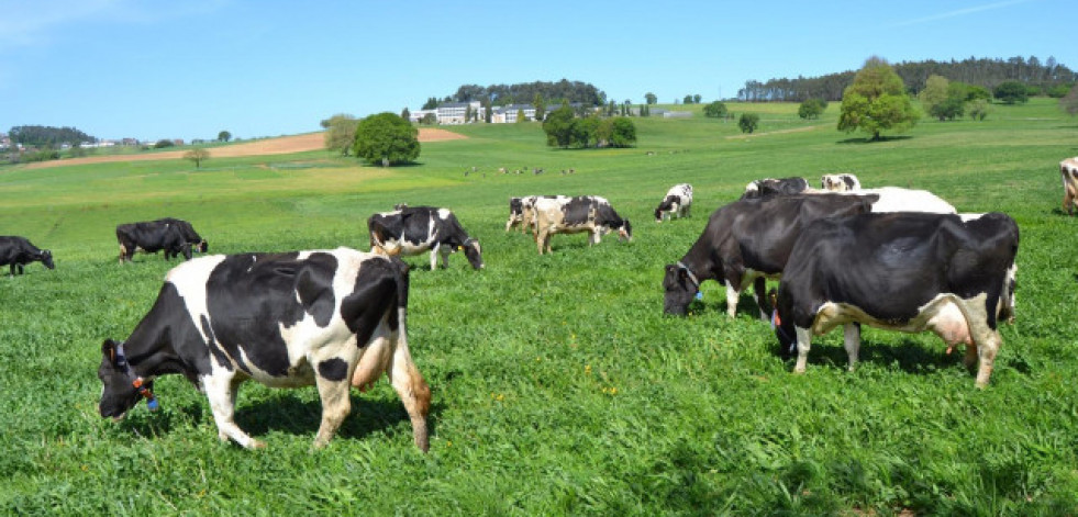 Novedades en la PAC 2025: apoyo a nuevos productores ecológicos y flexibilización en la rotación de cultivos
