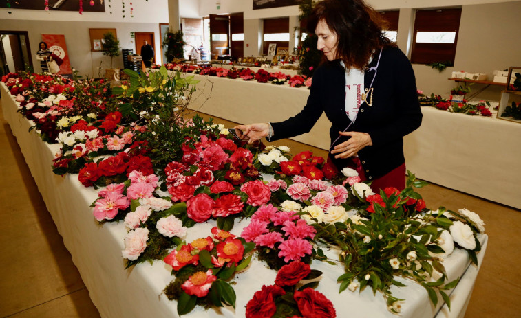 Carmen Moldes y Juan Castro, de Baión, se quedan con la Camelia de Ouro de Cambados