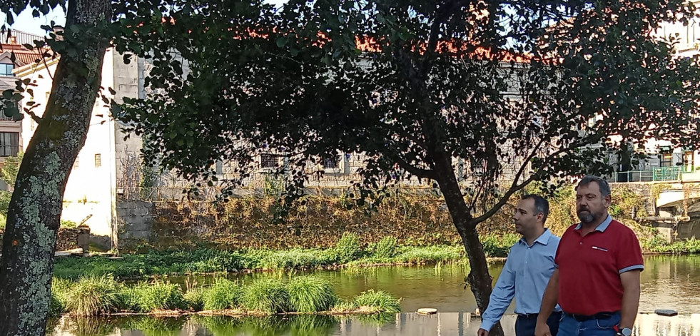 Caldas se reúne hoy con Augas de Galicia para coordinar la limpieza del cauce del río Umia