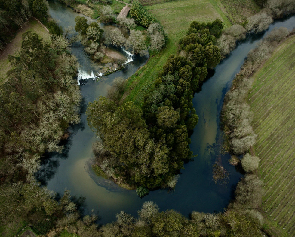 DJI 0638 12452570