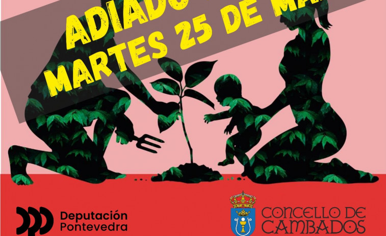 Cambados aplaza una plantación de árboles debido al mal tiempo