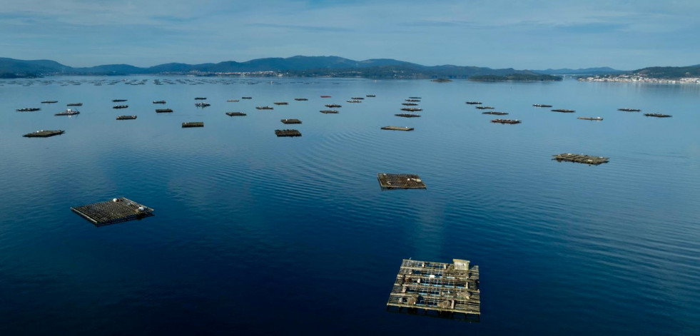 Arousa, la ría gallega con más vertidos, afronta un saneamiento complejo