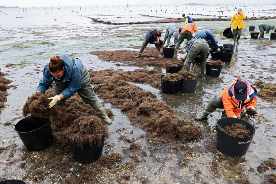 Vilagarcía propone a los Galp un documental sobre el trabajo de la mujer en el marisqueo y la conserva