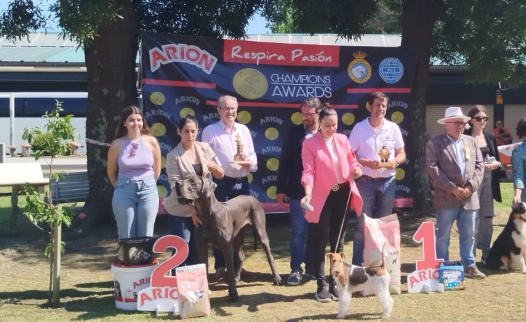 A Illa da Toxa acogerá un año más el Concurso Nacional Canino