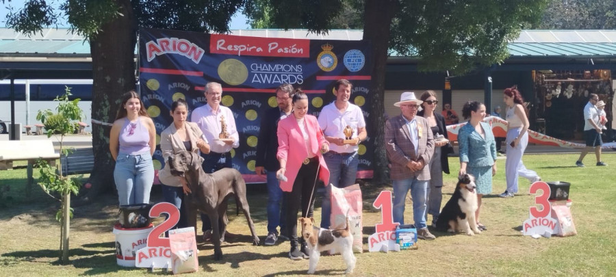 A Illa da Toxa acogerá un año más el Concurso Nacional Canino