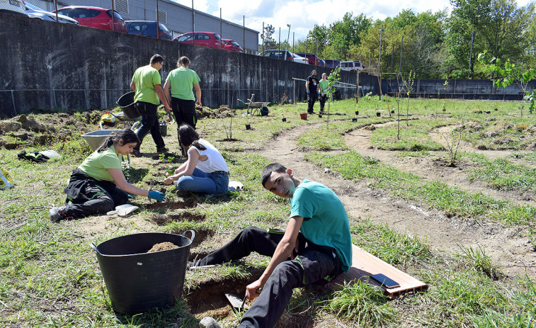 Estudiantes del instituto de Valga crean un jardín circular sostenible en el antiguo campo de Baño