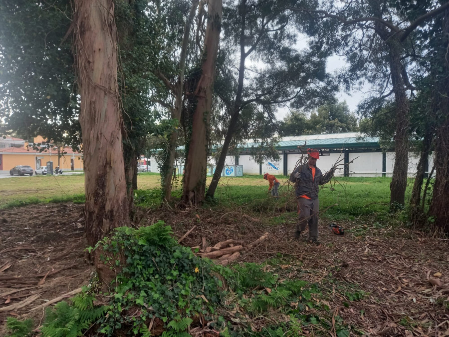 O Grove trabaja para ampliar la parcela verde de O Redondo en A Toxa