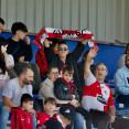 Aficion arosa