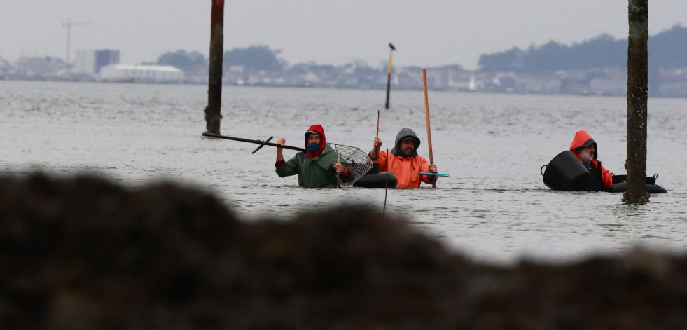 Mar apuesta por la Inteligencia Artificial para gestionar los recursos de la Ría de Arousa