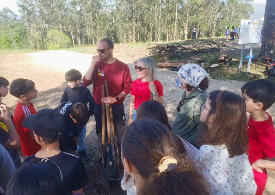 Alumnado de colegios de Boiro planta árboles autóctonos