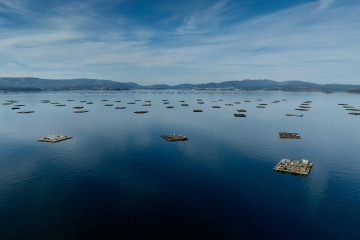 Bateas ria Arousa