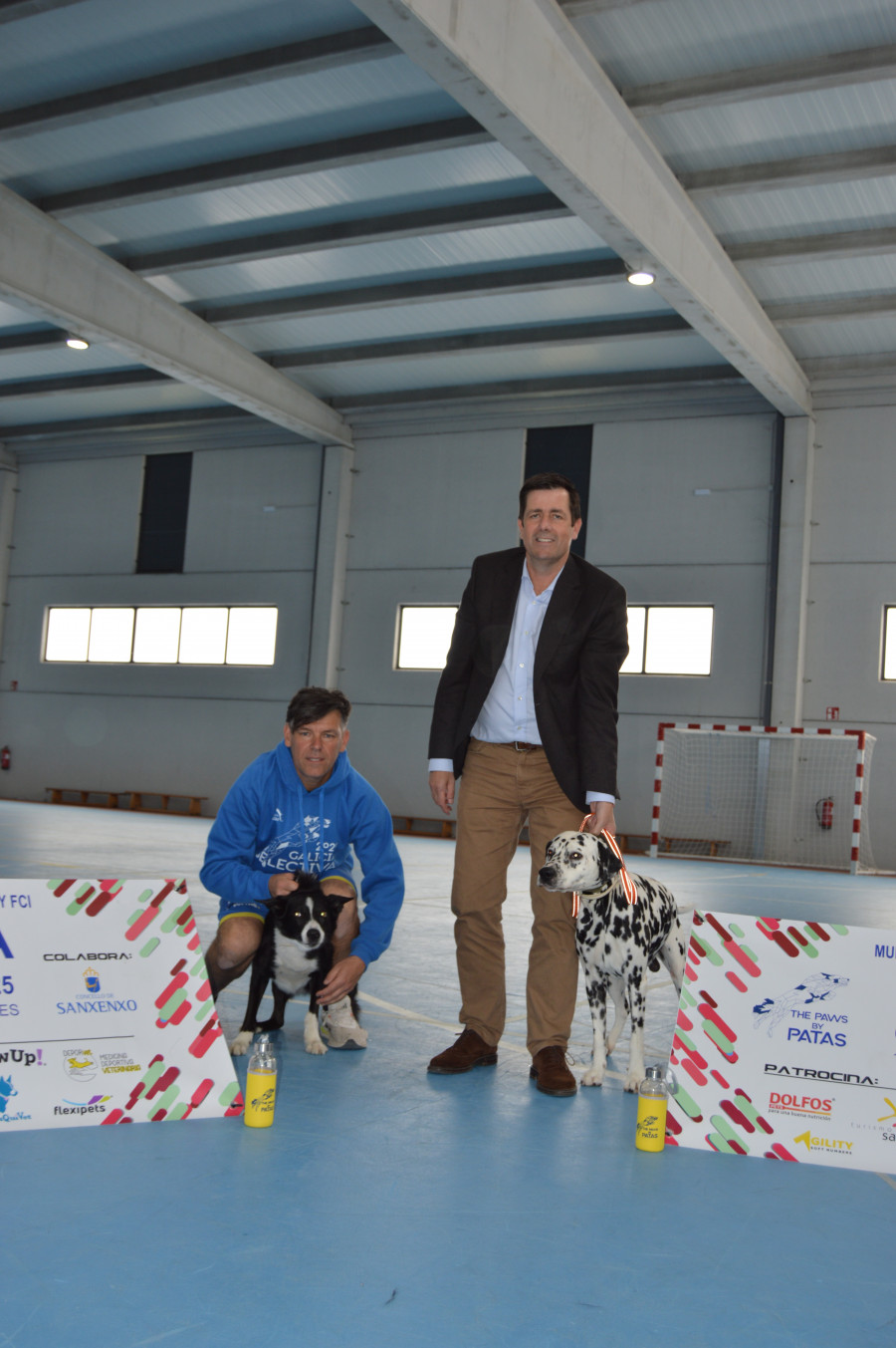 Los mejores perros Agility competirán este fin de semana en el polideportivo de Nantes