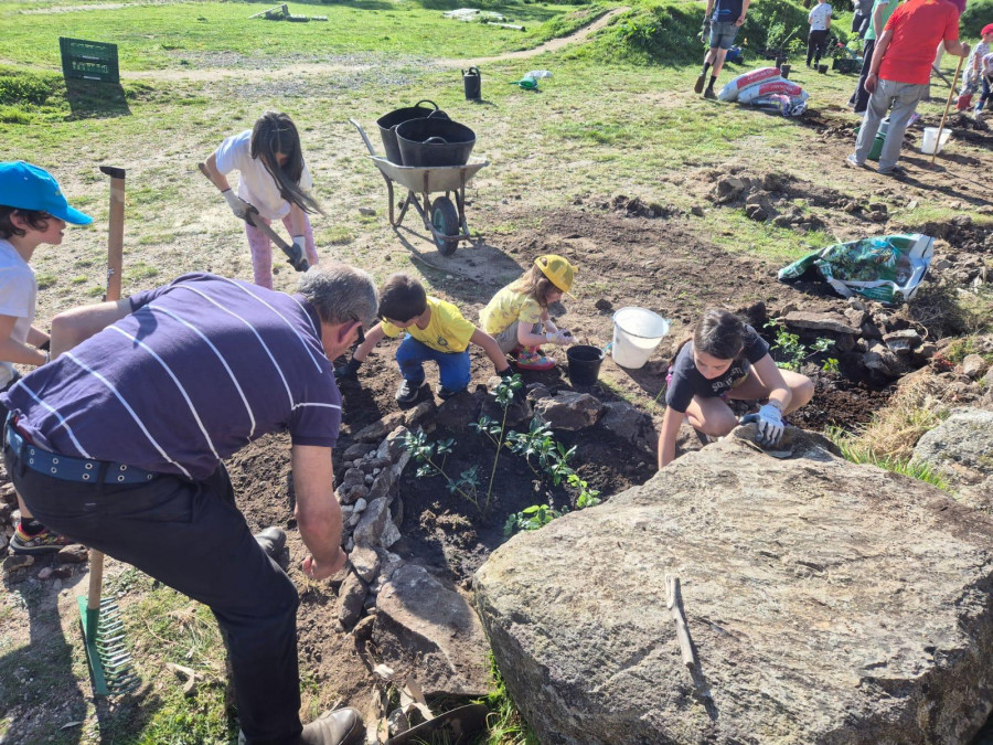 El colegio de Armenteira y el club ciclista inician una plantación de árboles