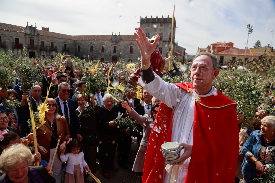 Arousa recibe la Semana Santa con un multitudinario Domingo de Ramos