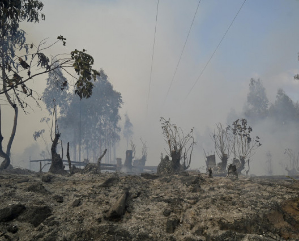 IncendioforestalenSuevos16