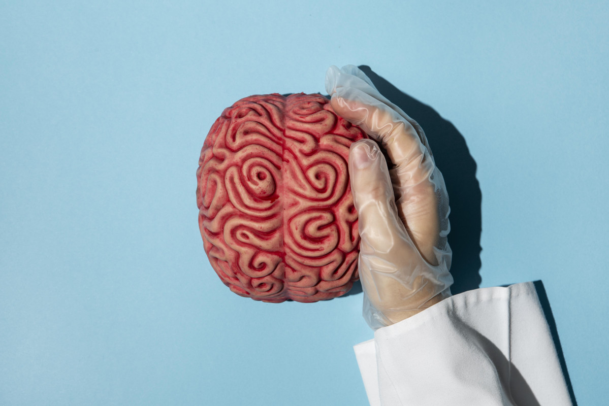 Top view person holding brain