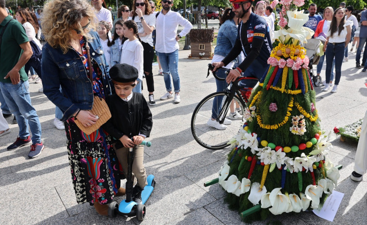 Máis de 40 composicións compiten na Festa dos Maios de Vilagarcía