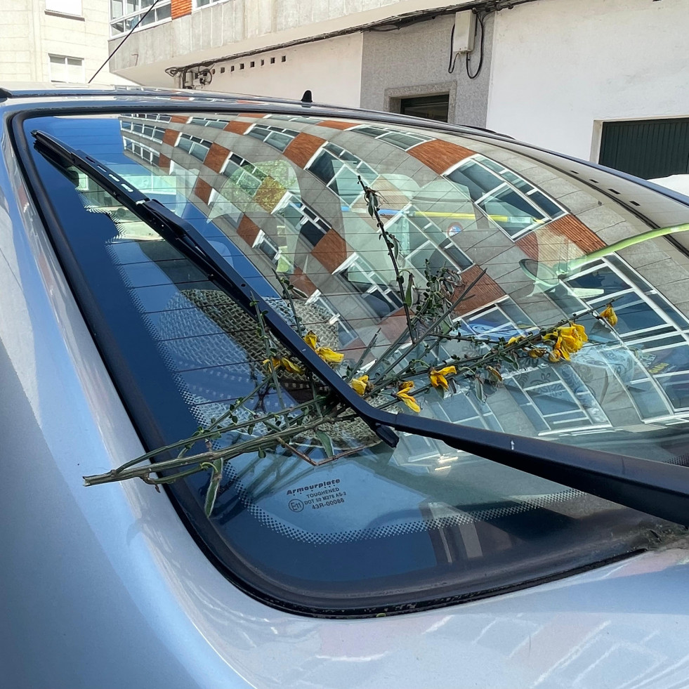 Arousa continúa colocando xestas por el 1 de mayo, pero sabes el porqué
