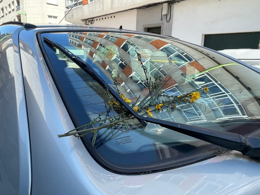 Arousa continúa colocando xestas por el 1 de mayo, pero sabes el porqué