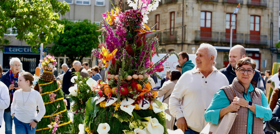 Búscate en la Festa dos Maios de Vilagarcía