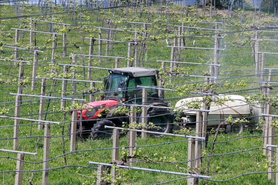 Cambados y el sector impulsan analíticas para descartar el origen agrario de la contaminación por nitratos