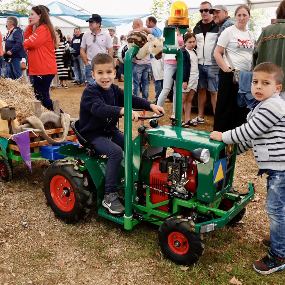 A Festa do Labrego de Vilariño repartirá 950 euros en premios no desfile e suma ao seu programa unha misa