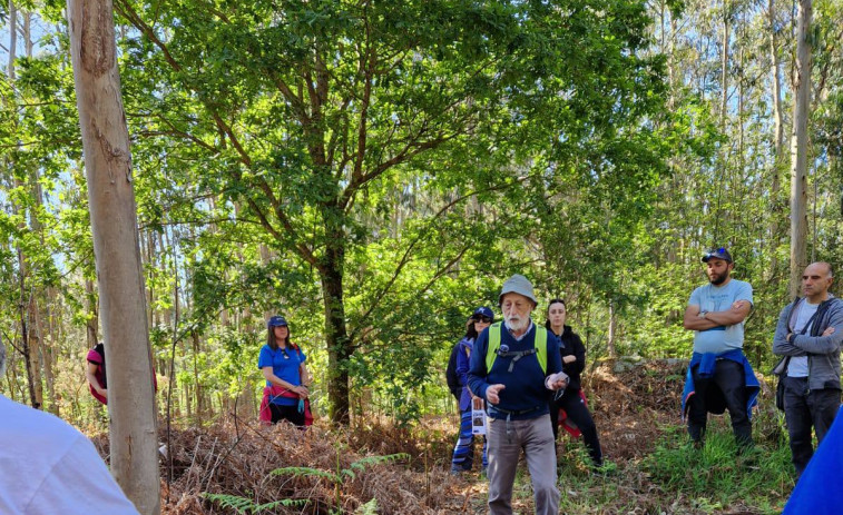 Sanxenxo: la capital turística de Galicia que también esconde reliquias arqueológicas de más de 6.000 años