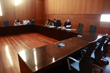 Pleno a illa sin pp