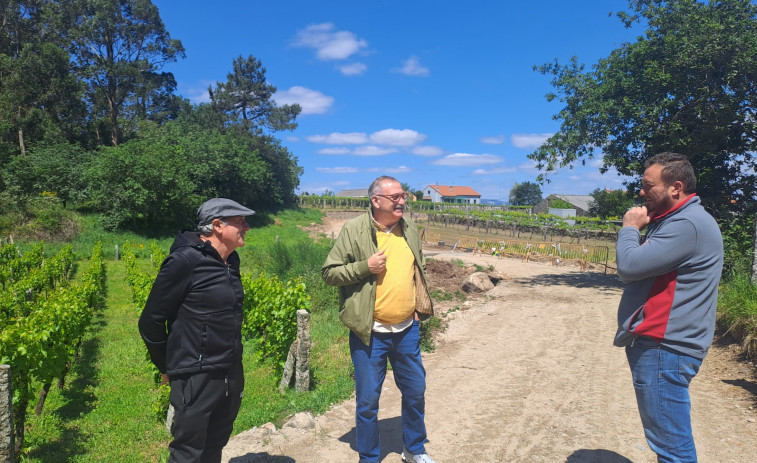 El Concello de Vilagarcía inicia los trabajos de ensanche y mejora del firme en el Camiño Monte de Aralde