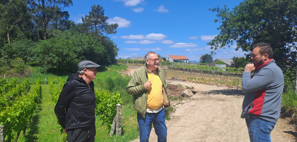 El Concello de Vilagarcía inicia los trabajos de ensanche y mejora del firme en el Camiño Monte de Aralde