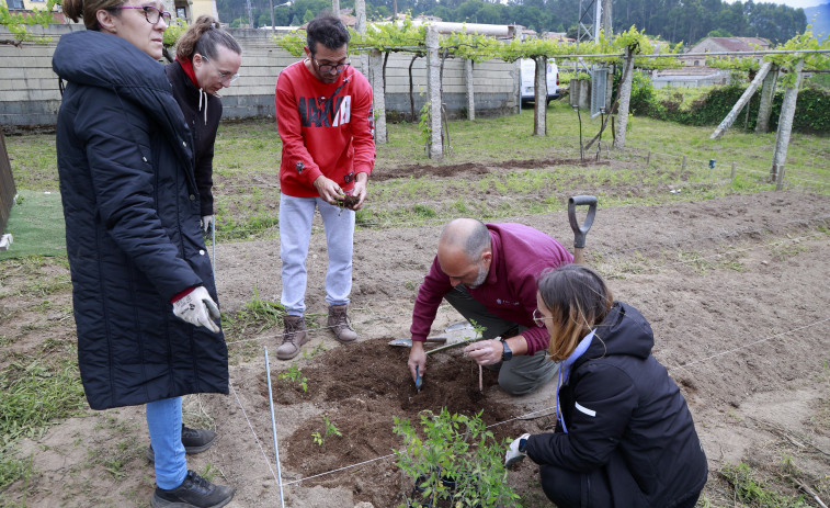 La Mancomunidade redobla su formación en agricultura ecológica biointensiva como salida laboral
