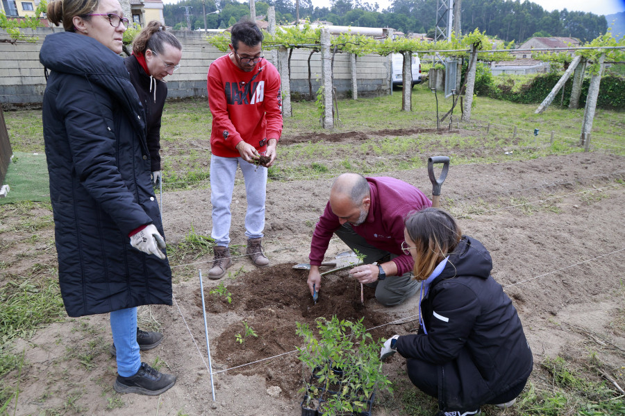 La Mancomunidade redobla su formación en agricultura ecológica biointensiva como salida laboral